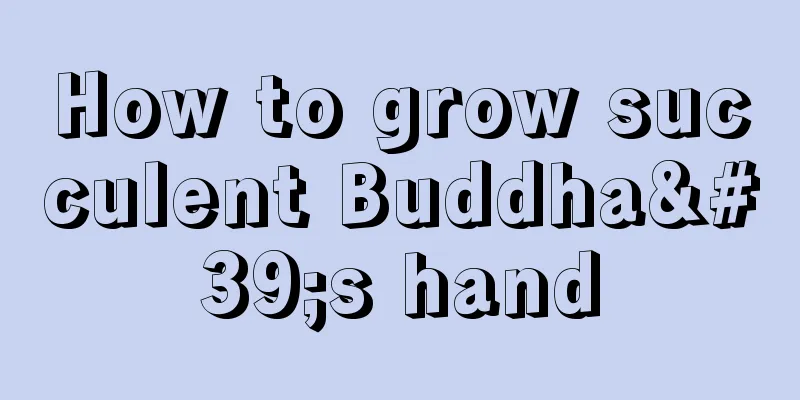 How to grow succulent Buddha's hand