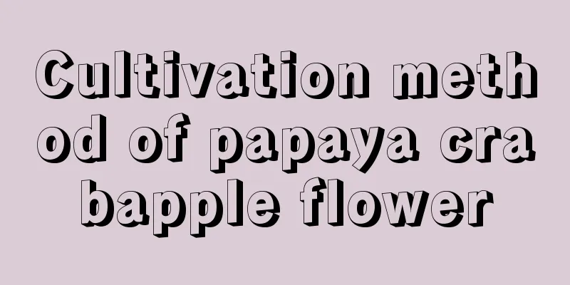 Cultivation method of papaya crabapple flower