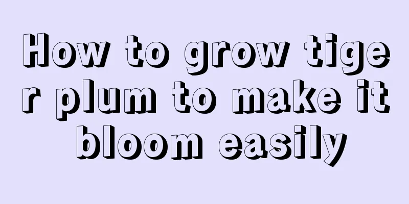 How to grow tiger plum to make it bloom easily