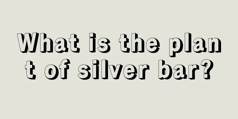 What is the plant of silver bar?