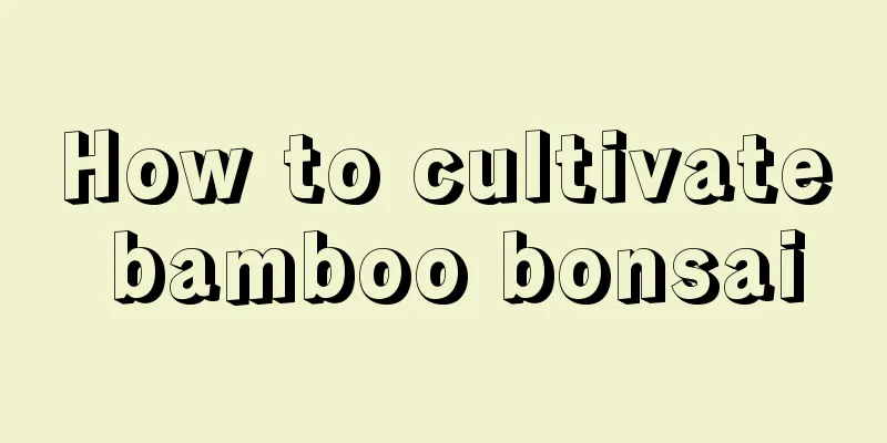 How to cultivate bamboo bonsai