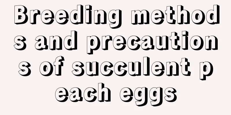 Breeding methods and precautions of succulent peach eggs