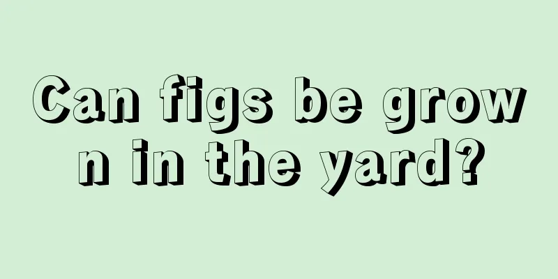 Can figs be grown in the yard?