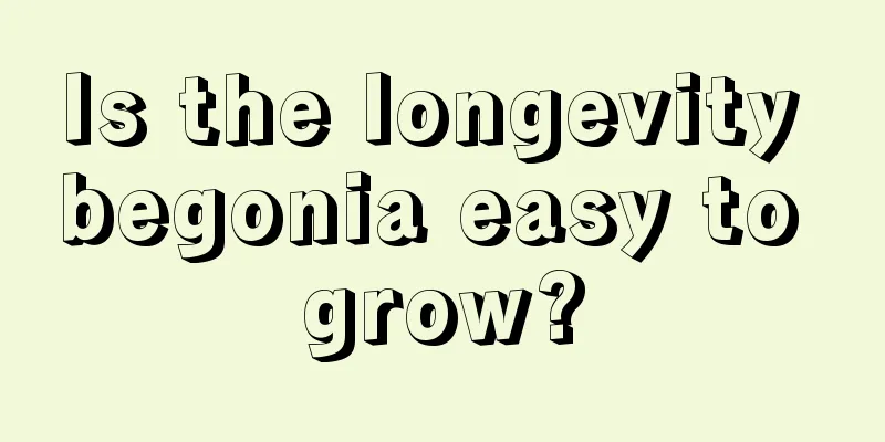 Is the longevity begonia easy to grow?