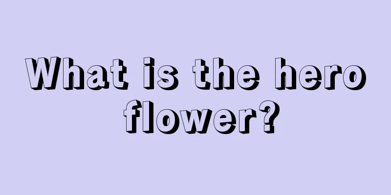 What is the hero flower?