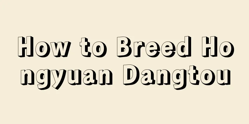 How to Breed Hongyuan Dangtou