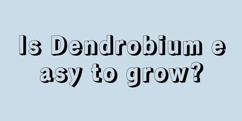 Is Dendrobium easy to grow?