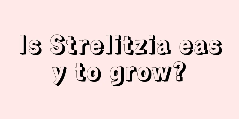 Is Strelitzia easy to grow?