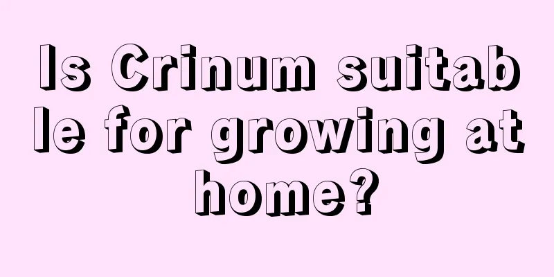 Is Crinum suitable for growing at home?