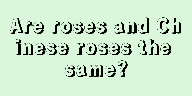 Are roses and Chinese roses the same?