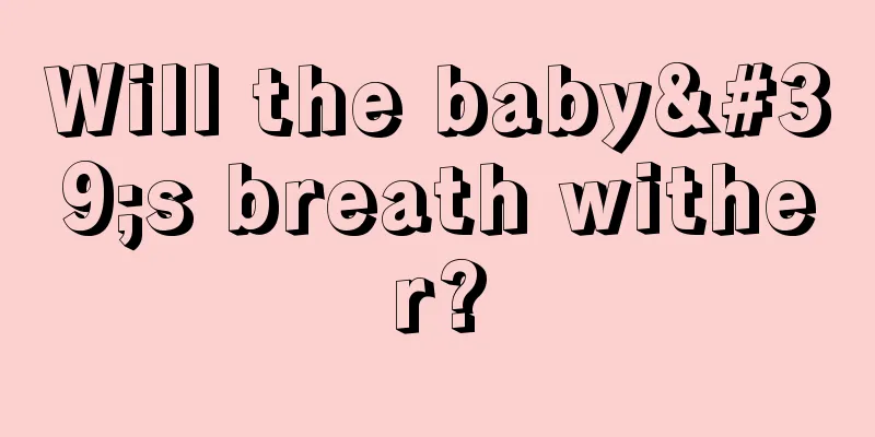 Will the baby's breath wither?