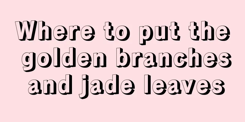 Where to put the golden branches and jade leaves