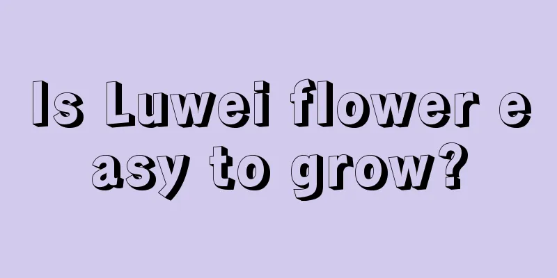 Is Luwei flower easy to grow?