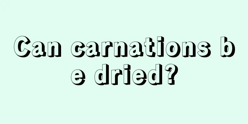 Can carnations be dried?