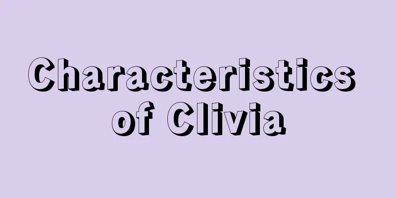 Characteristics of Clivia