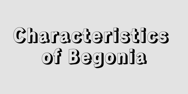 Characteristics of Begonia