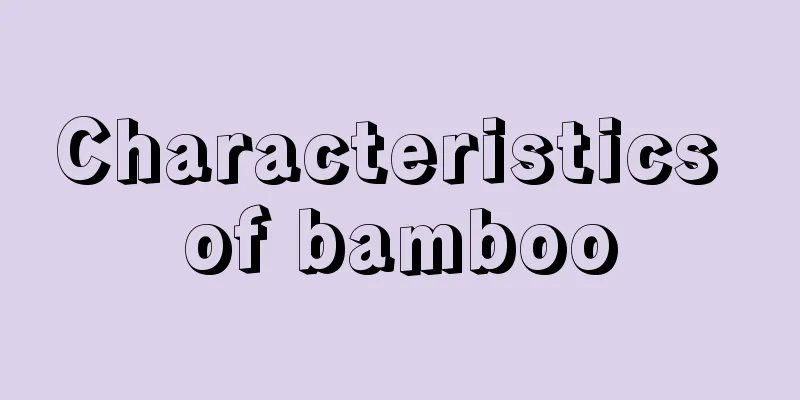 Characteristics of bamboo