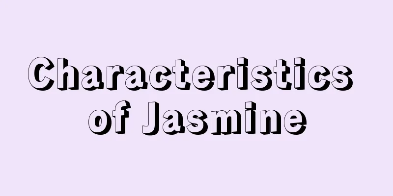 Characteristics of Jasmine