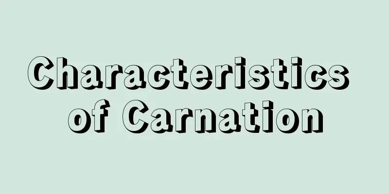 Characteristics of Carnation