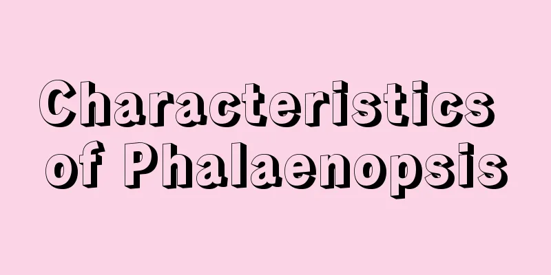 Characteristics of Phalaenopsis