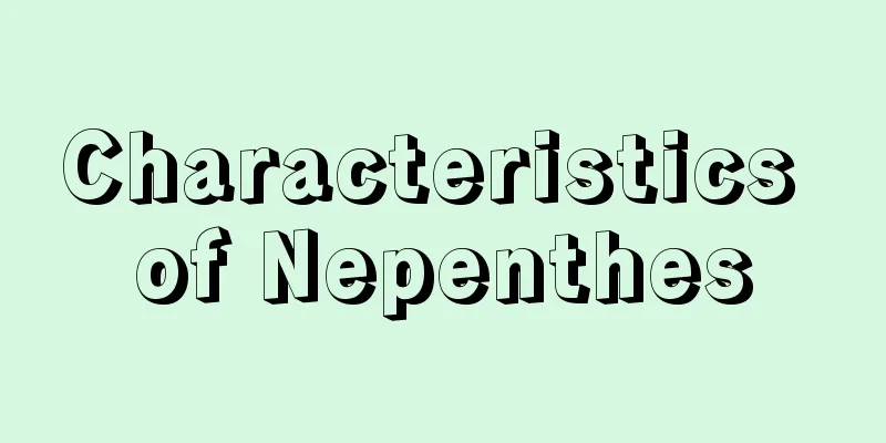 Characteristics of Nepenthes