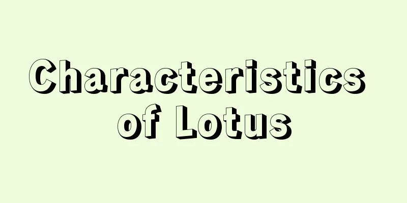 Characteristics of Lotus