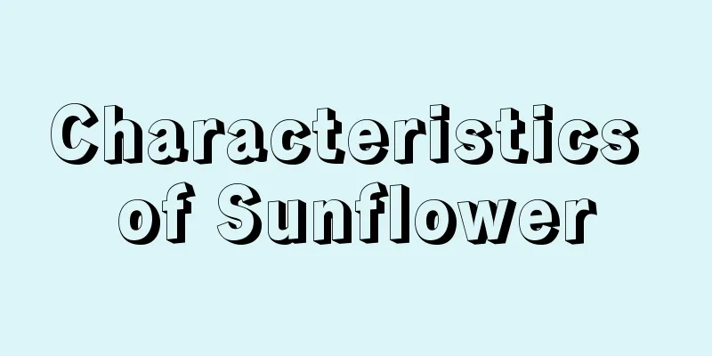 Characteristics of Sunflower