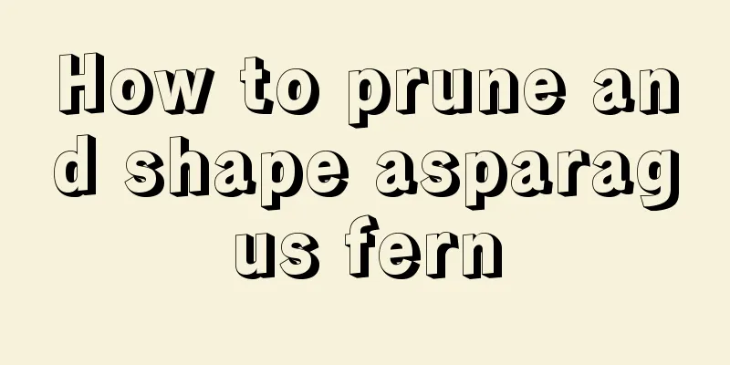 How to prune and shape asparagus fern