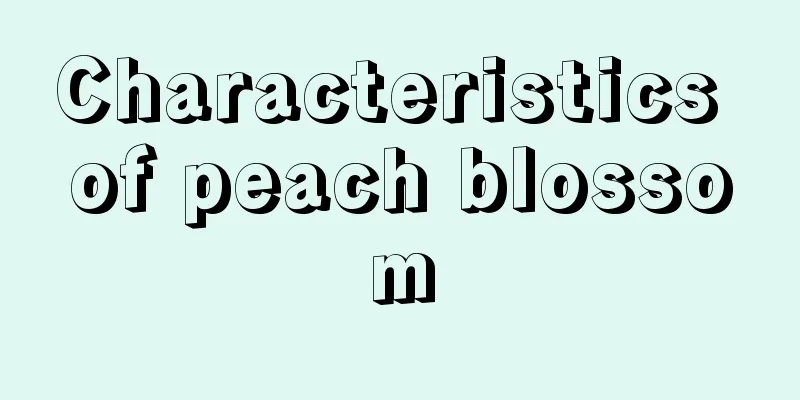 Characteristics of peach blossom