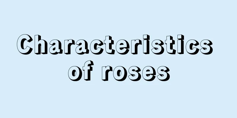 Characteristics of roses