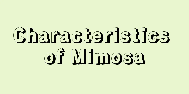 Characteristics of Mimosa