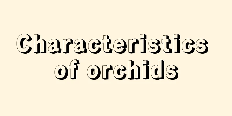 Characteristics of orchids