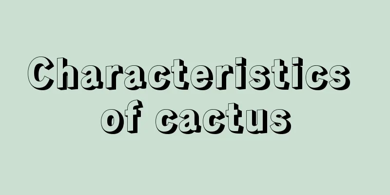 Characteristics of cactus