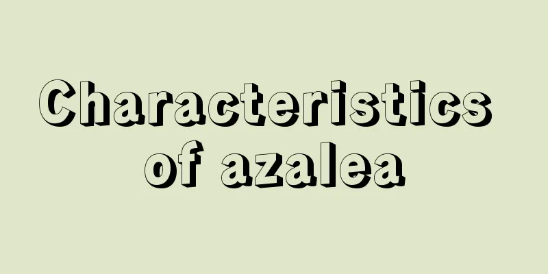 Characteristics of azalea