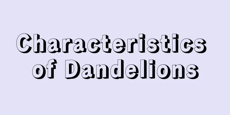 Characteristics of Dandelions