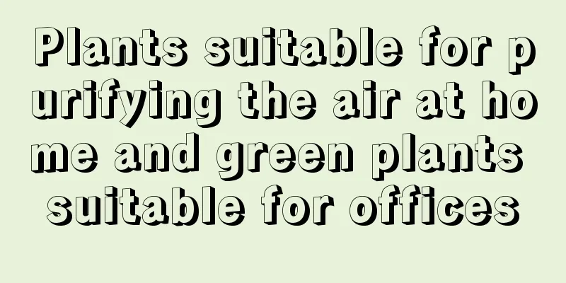 Plants suitable for purifying the air at home and green plants suitable for offices