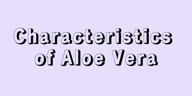 Characteristics of Aloe Vera