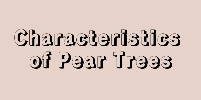 Characteristics of Pear Trees