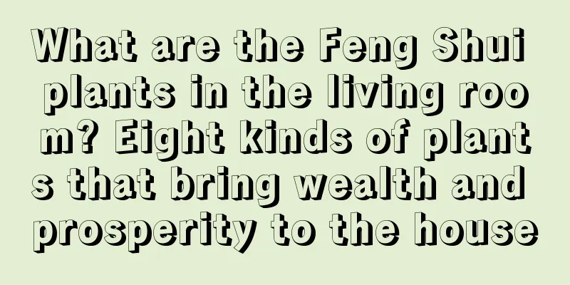 What are the Feng Shui plants in the living room? Eight kinds of plants that bring wealth and prosperity to the house