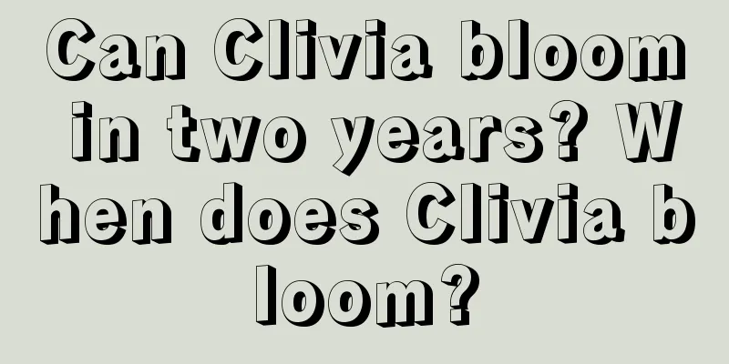 Can Clivia bloom in two years? When does Clivia bloom?