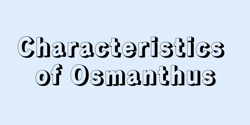 Characteristics of Osmanthus