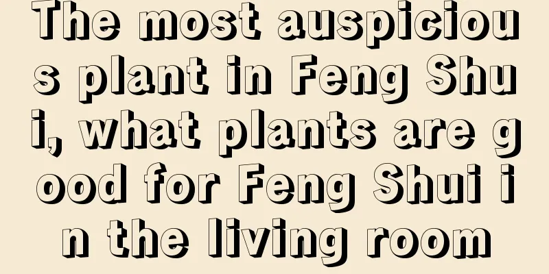 The most auspicious plant in Feng Shui, what plants are good for Feng Shui in the living room