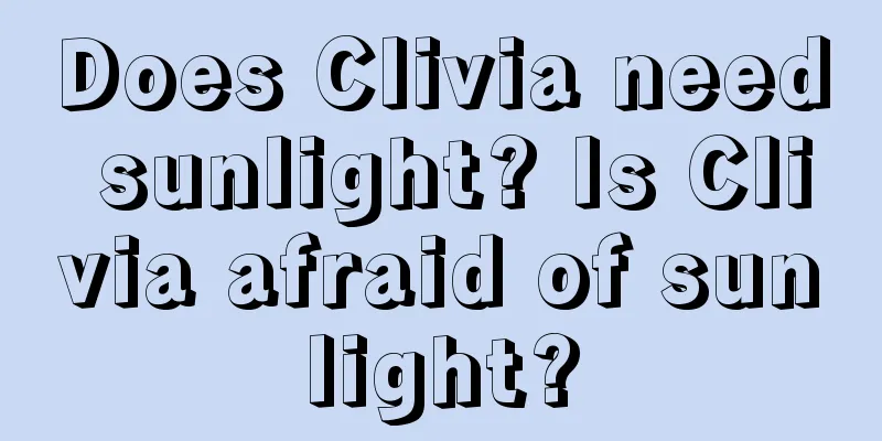 Does Clivia need sunlight? Is Clivia afraid of sunlight?