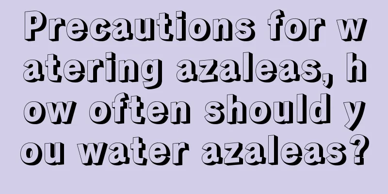 Precautions for watering azaleas, how often should you water azaleas?