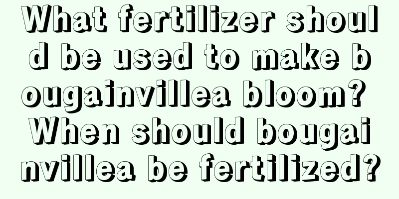 What fertilizer should be used to make bougainvillea bloom? When should bougainvillea be fertilized?