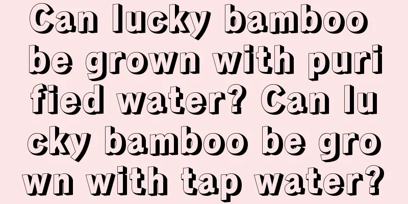 Can lucky bamboo be grown with purified water? Can lucky bamboo be grown with tap water?