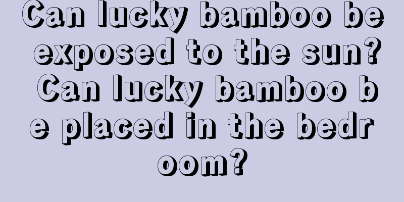 Can lucky bamboo be exposed to the sun? Can lucky bamboo be placed in the bedroom?