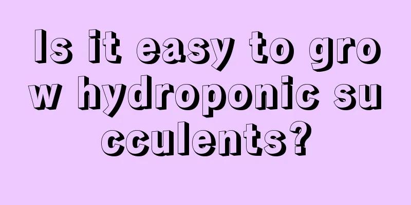 Is it easy to grow hydroponic succulents?