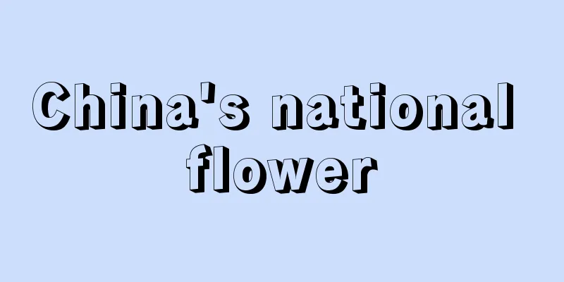 China's national flower