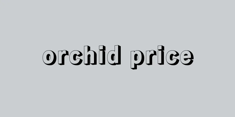 orchid price